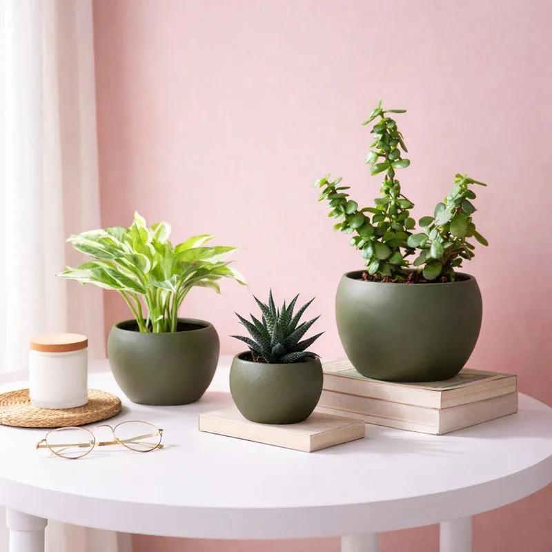 LeafNest Mild Steel Planter (Brown) - Set Of Three media 3