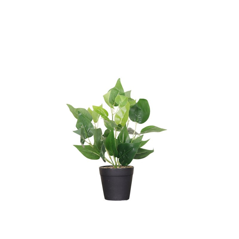 Artificial Pothos Plant With Black Fiber Pot - 0.9 Feet media 4