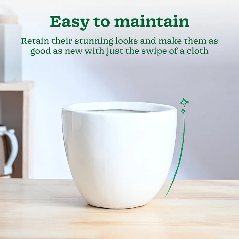Cantata Ceramic Planter - White media 4