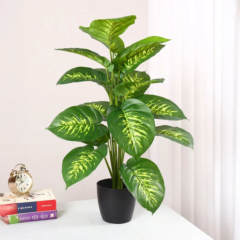 Differa Artificial Dieffenbachia Plant With Black Plastic Pot (2 Feet)  - Yellow, Green media 3