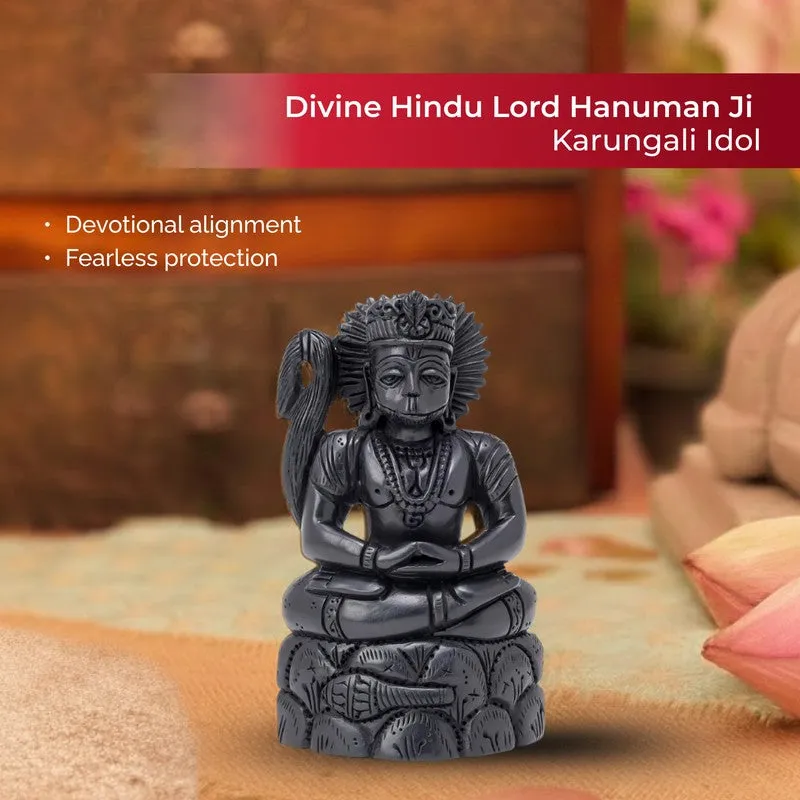 Lord Hanuman Divine Ebony Wood Idol media 4