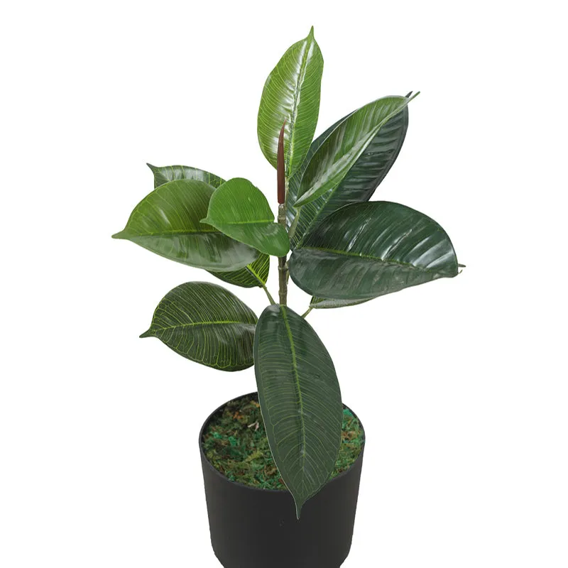 Foliage Finesse Artificial Plant With Black Plastic Pot media 6
