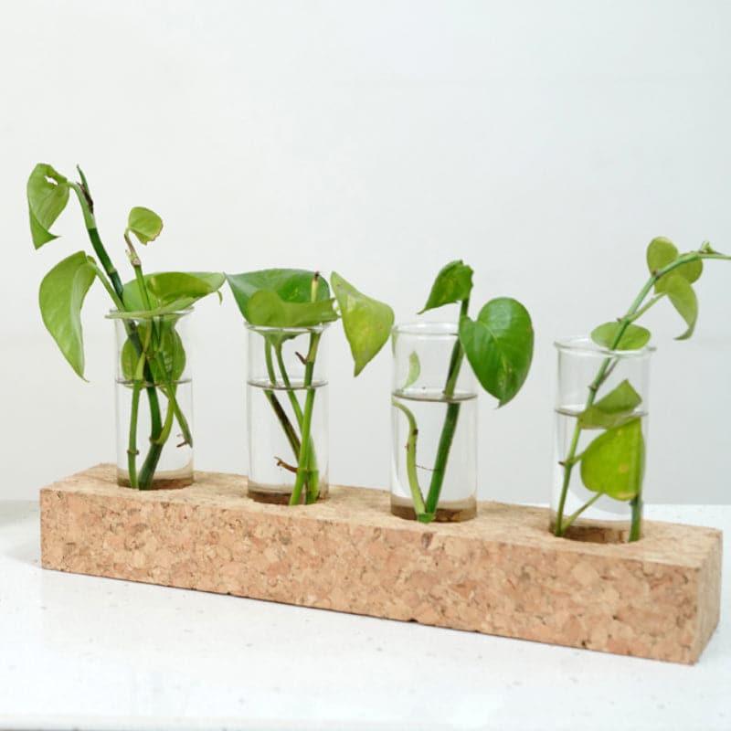 Niam Cork Testube Planter