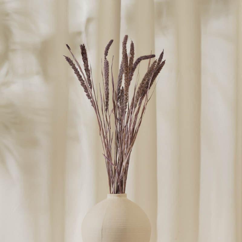 Natural Fiber