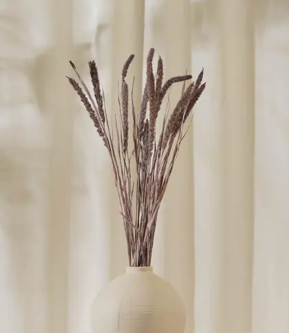 Natural Fiber
