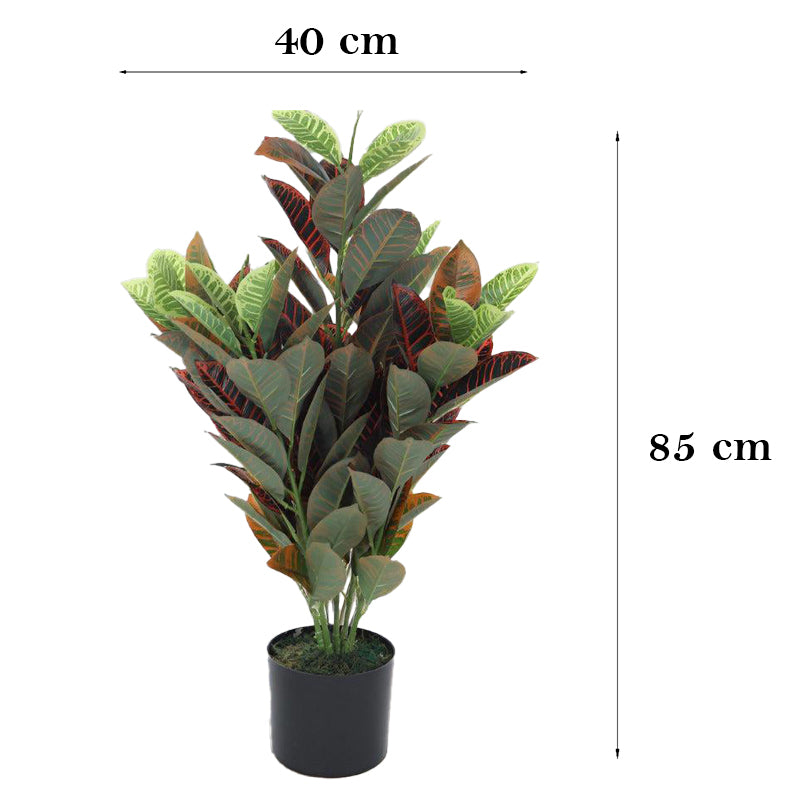 Faux Croton Astroites Plant With Black Plastic Pot - 2.79 ft media 7