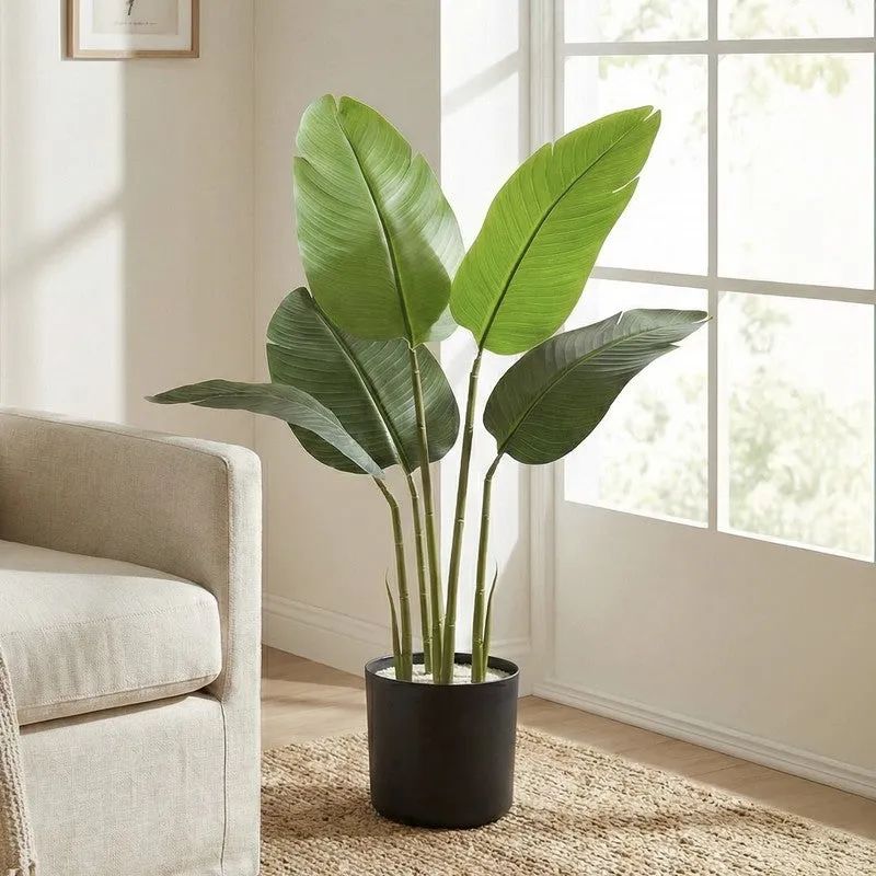 Tropiva Banana Leaf Palm Plant With Black Plastic Pot - 2.6 ft media 3