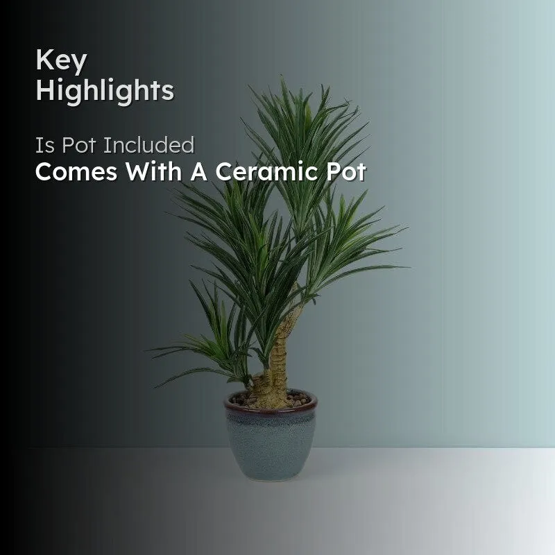 Faux Yucca Bonsai In Bowl Pot - 60 cms media 2