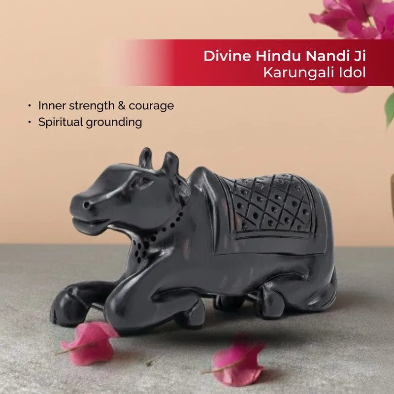 Shivansh Nandi Ebony Wood Idol media 5