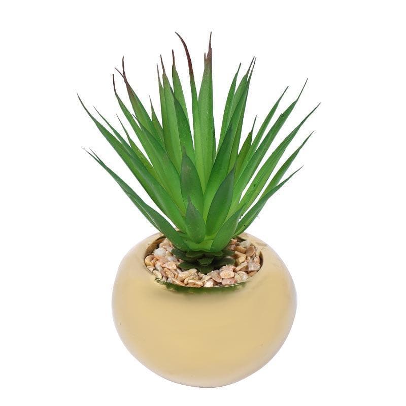 Faux Agave In Round Ceramic Pot - 14.5 cms media 3