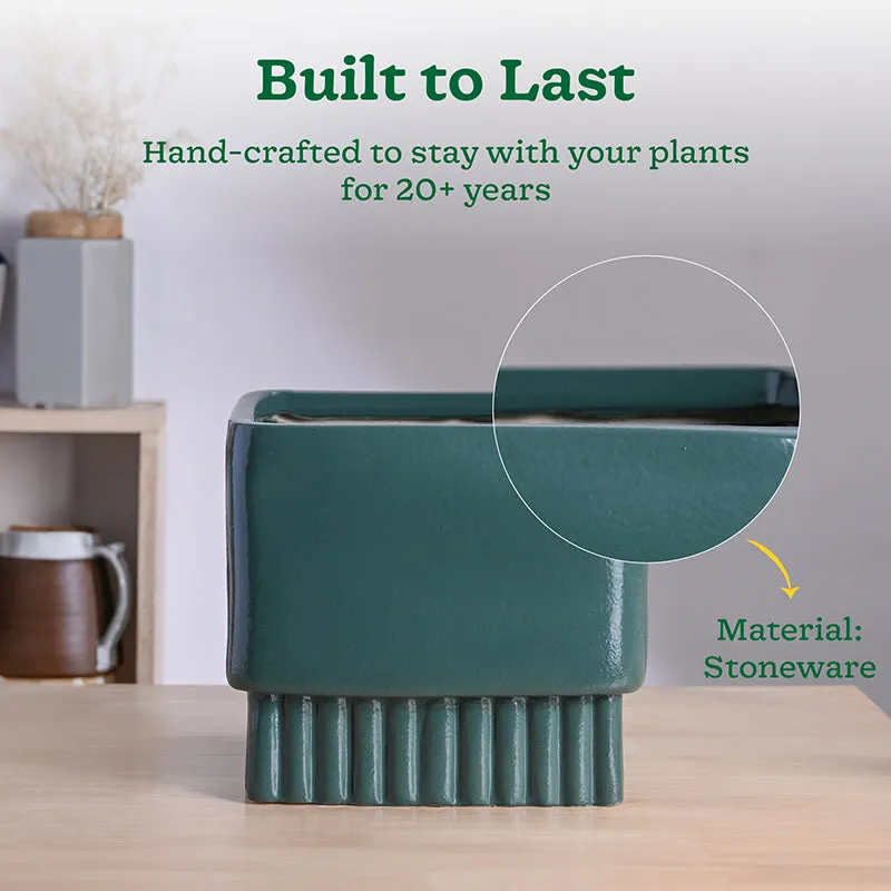 Ugaoo Sleepy Sprout Square Ceramic Planter - Green media 4