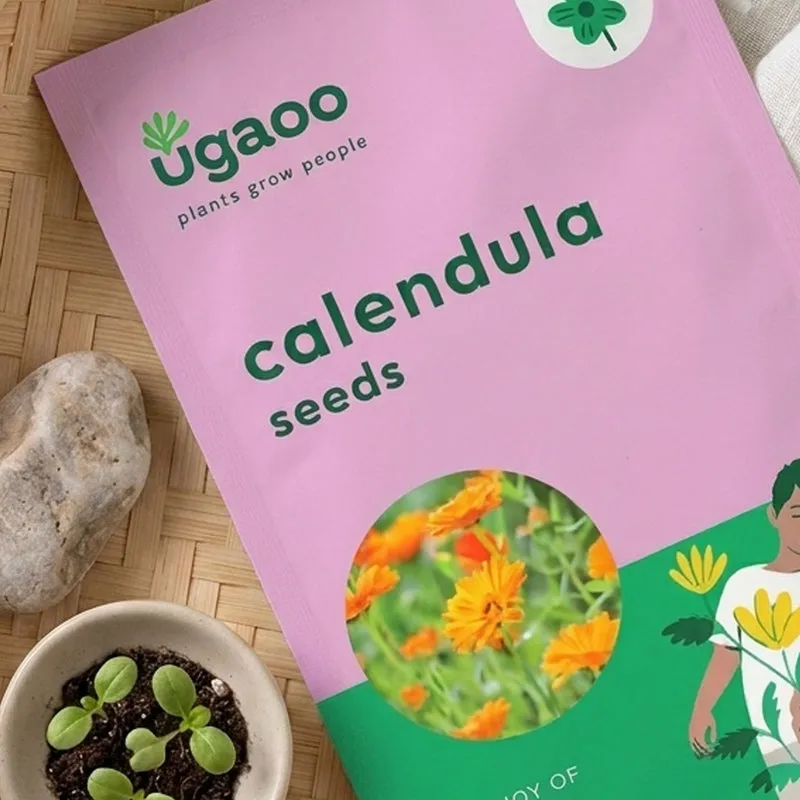 Ugaoo Calendula Seeds media 3