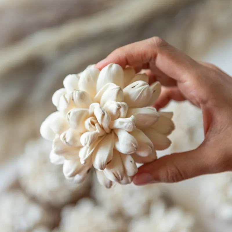 A hand holding one creamy-white layered sola wood flower