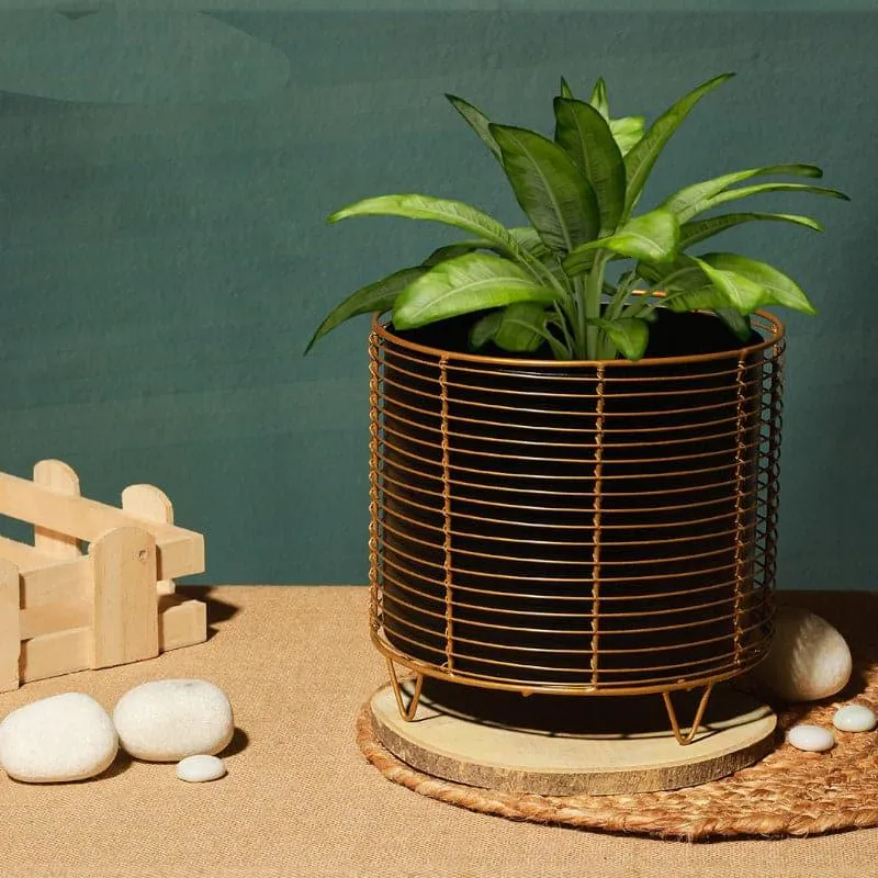 Hilpo Mesh Planter - Black media 3
