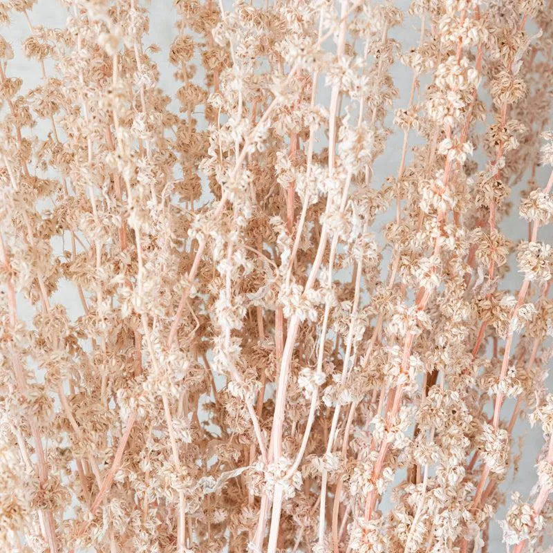 Yinira Naturally Dried Stag Grass media 4