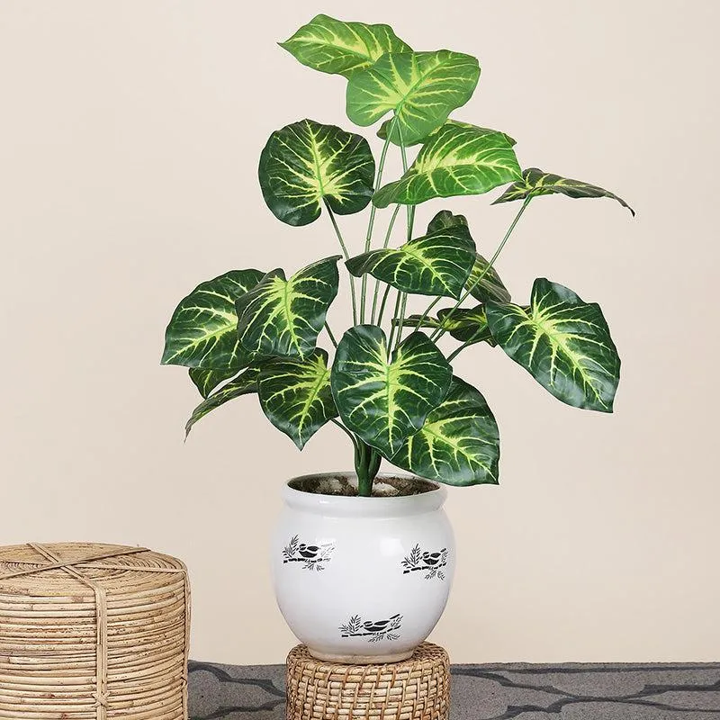 Faux Botanic Light Green Money Plant - 2 Feet media 1