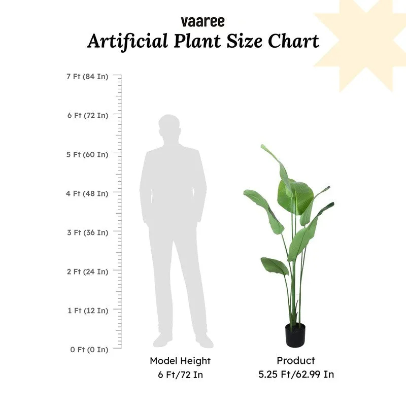 Paradise Artificial Plant With Black Fiber Pot - 5.2 Feet media 7