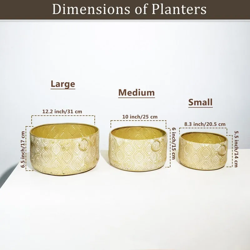 Noctis Metal Planters - Set Of Three media 8