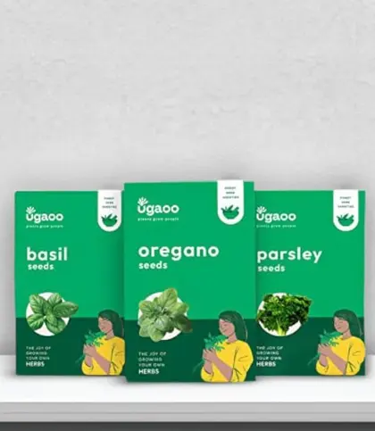 Seeds