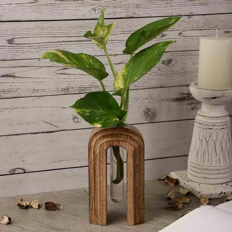 Inverted U Testube Planter - Brown media 1
