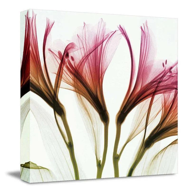 Forrest Floral Wall Art media 3