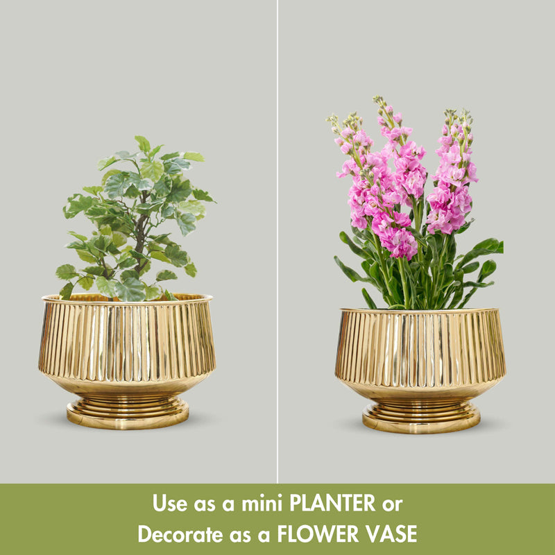 Forgea Metal Planter media 5