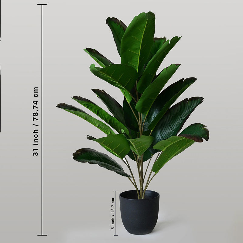 Faux Artificial Banana Leaf Plant With Black Plastic Pot - 79 cm (2.6 ft) media 6