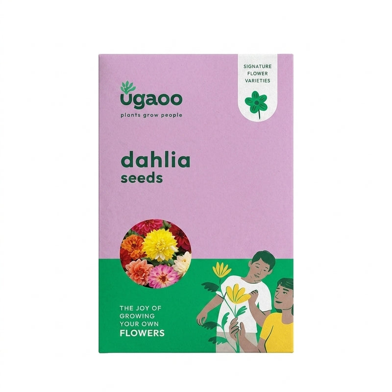 Ugaoo Dahlia Seeds media 5