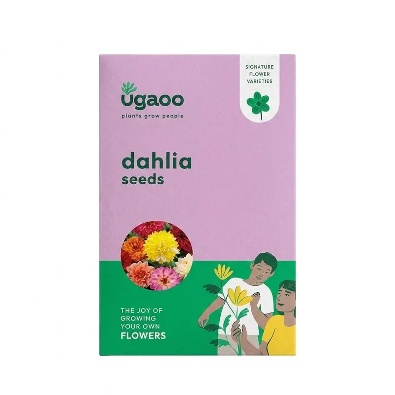 Ugaoo Dahlia Seeds media 5