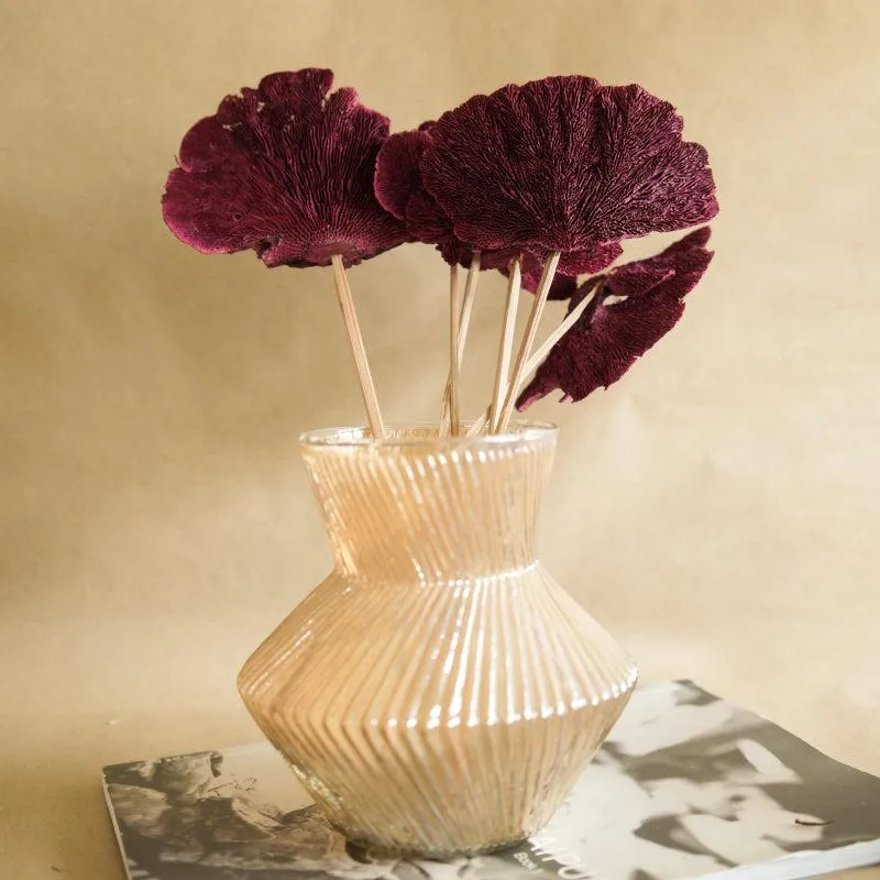 Sponge Mushroom Bunch (Maroon)  - Set Of Five media 1