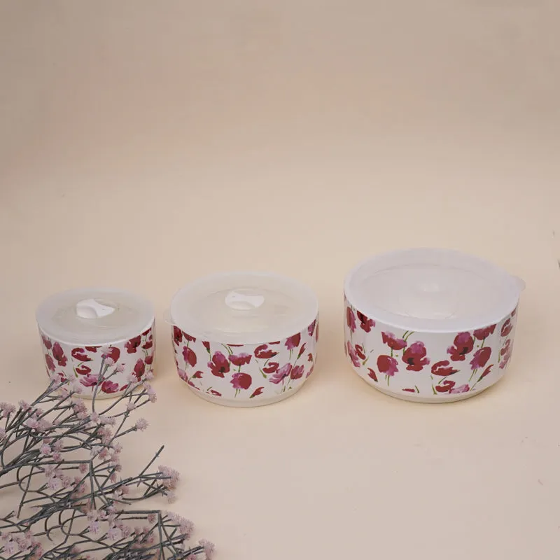 Ruby Airtight Storage Container (300 mL/600 mL/1000 mL) - Set Of Three media 1
