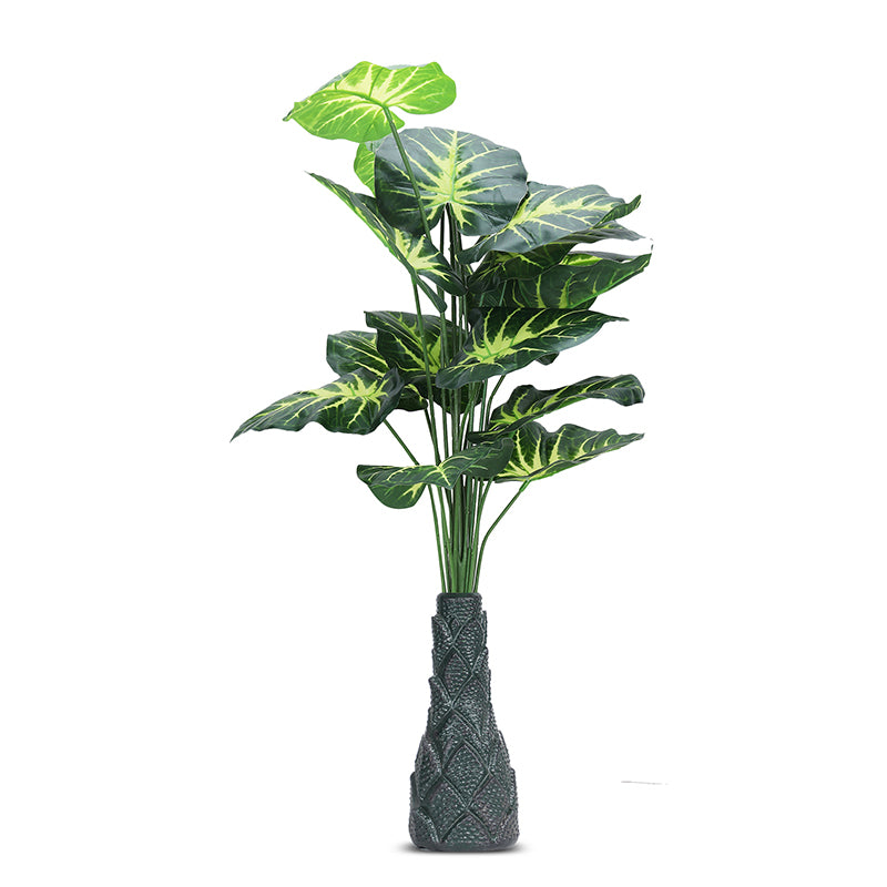 Infinita Artificial Money Plant II With Black Plastic Pot - 3 Feet media 3