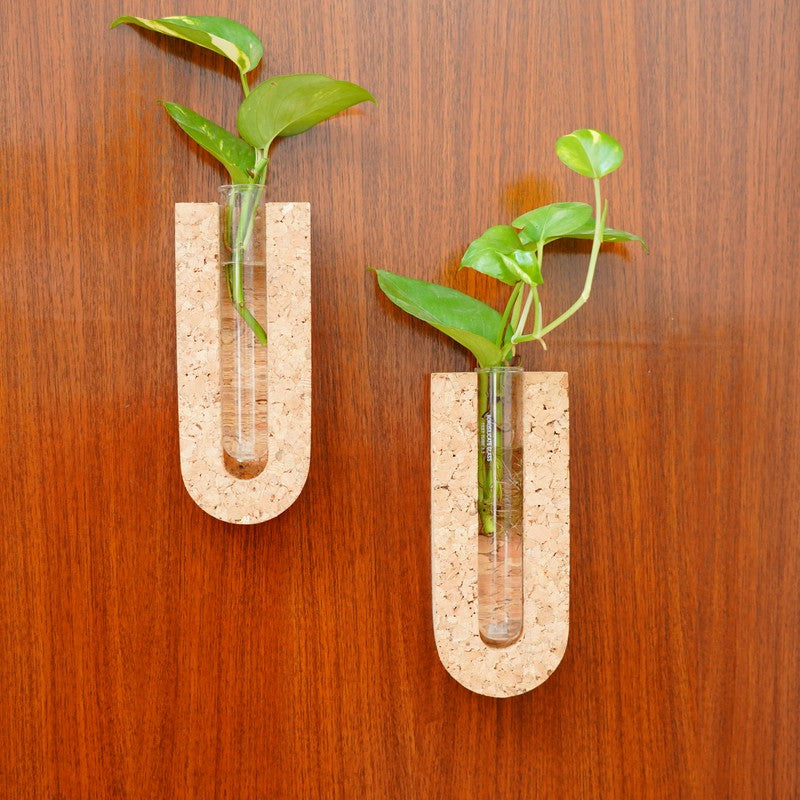 NatureGlow Hydro Planter - Two Piece Set media 5