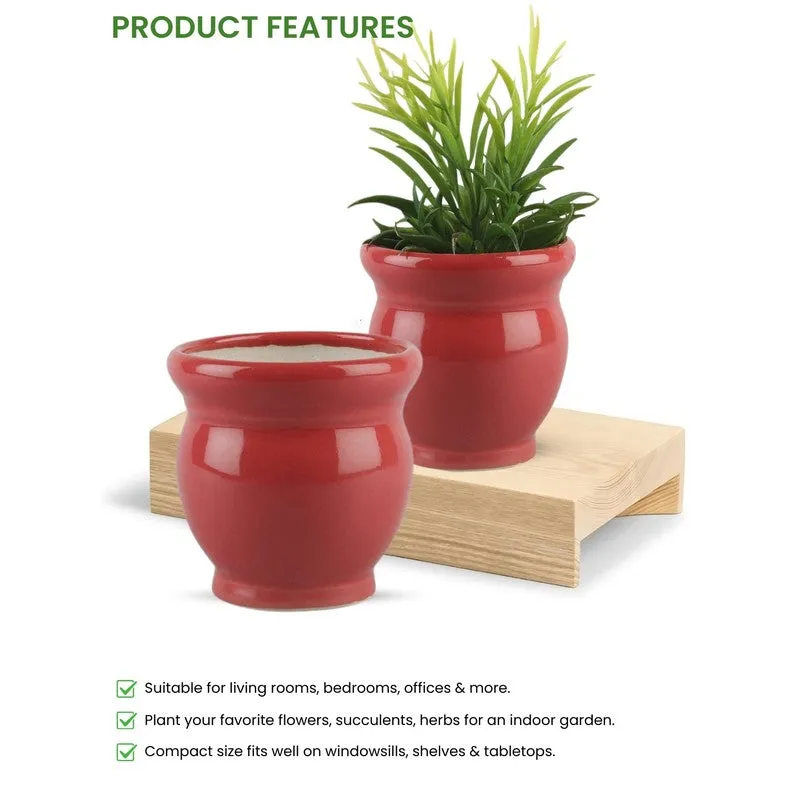 VelourVista Pots Red - Set Of Two media 7