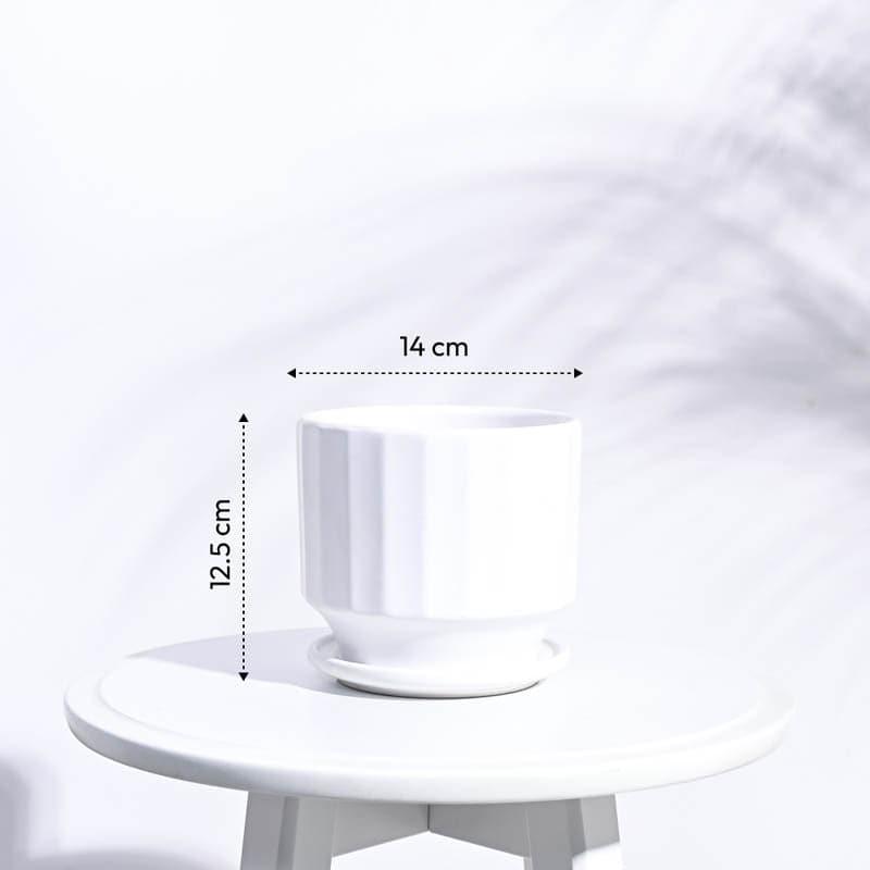 Lexie Ceramic Planter - White media 6