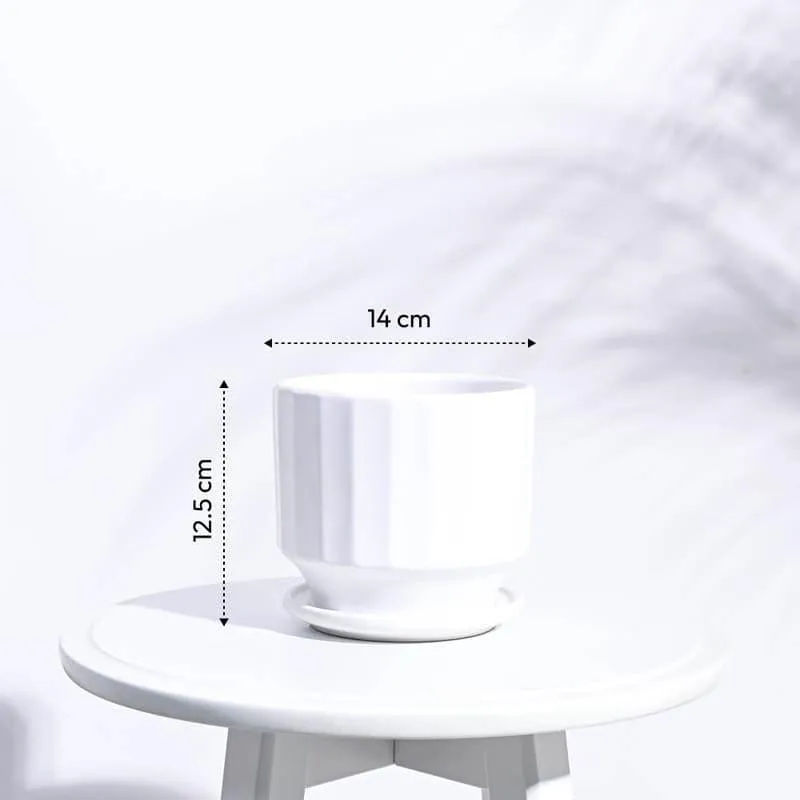 Lexie Ceramic Planter - White media 6