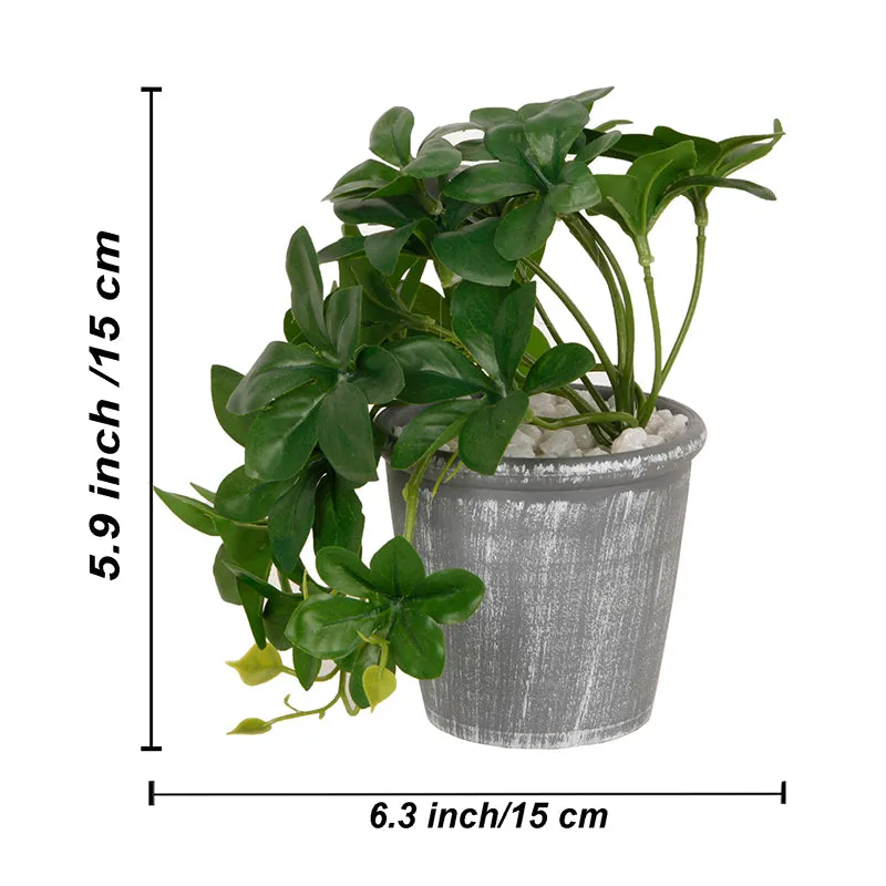Leafetta Artificial Plant With Black Plastic Pot media 5