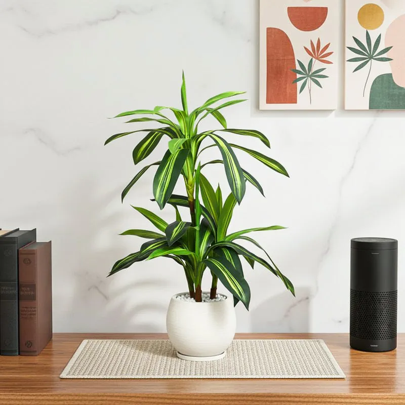 Lushly Artificial Draceana With Black Plastic Pot - 3 Feet media 1