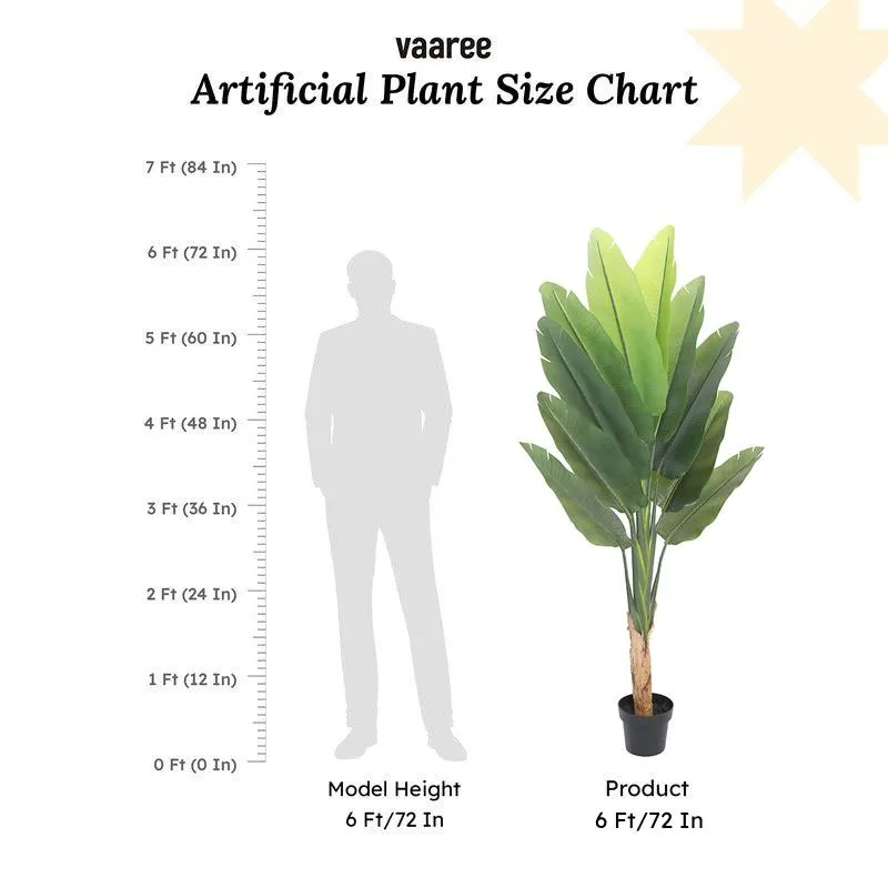 Artificial plant shown beside a height comparison figure
