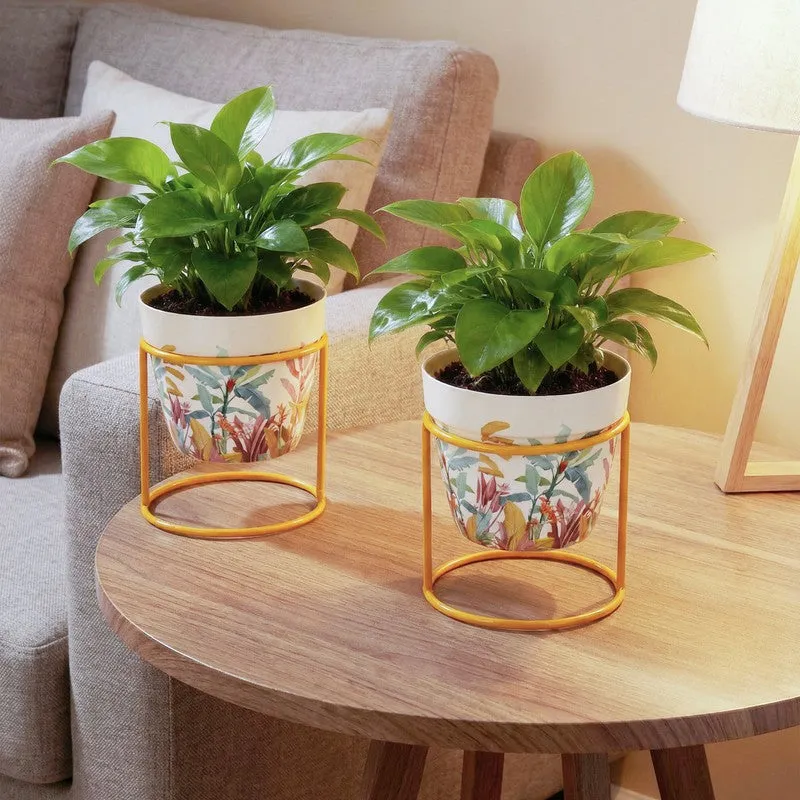The Planter Nook Metal Planters With Stand - Four Piece Set media 8