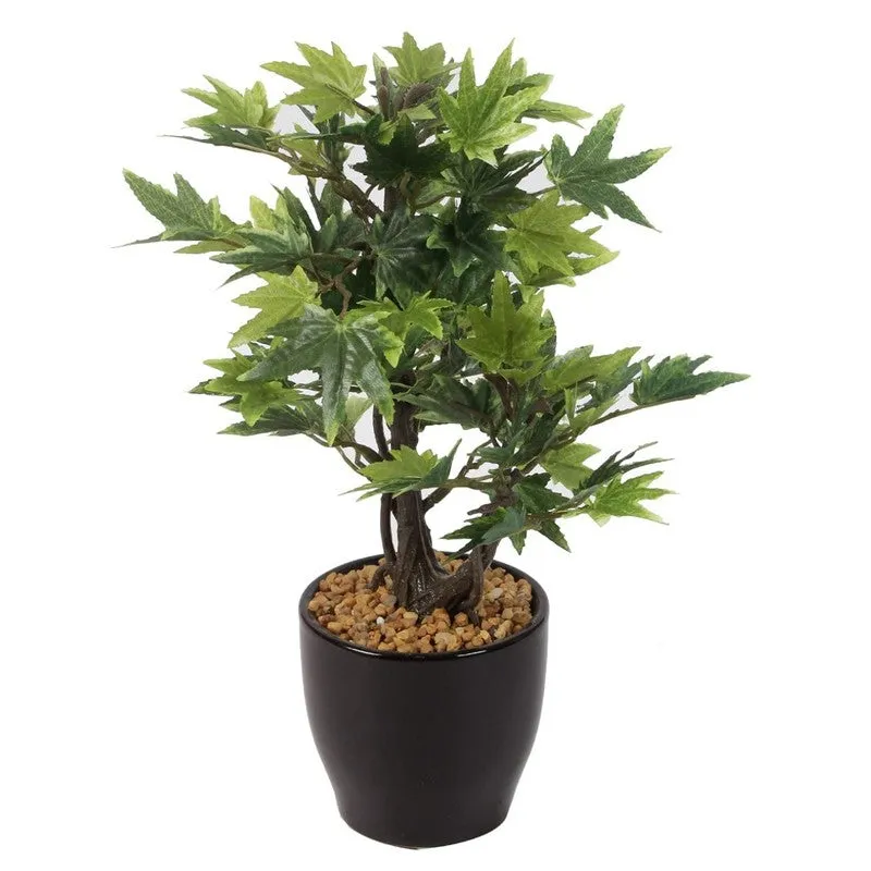 Artificial Green Maple Bonsai Plant With Ceramic Pot - 0.8 Feet media 5