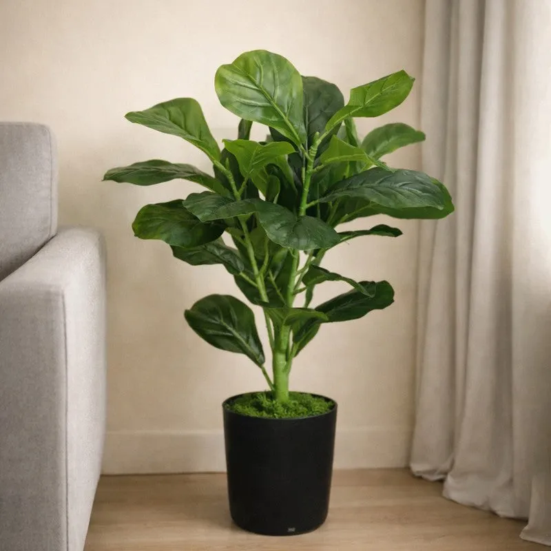 Leaf Aura Fiddle Artificial Plant With Black Plastic Pot - 89 cm (2.9 ft) media 3