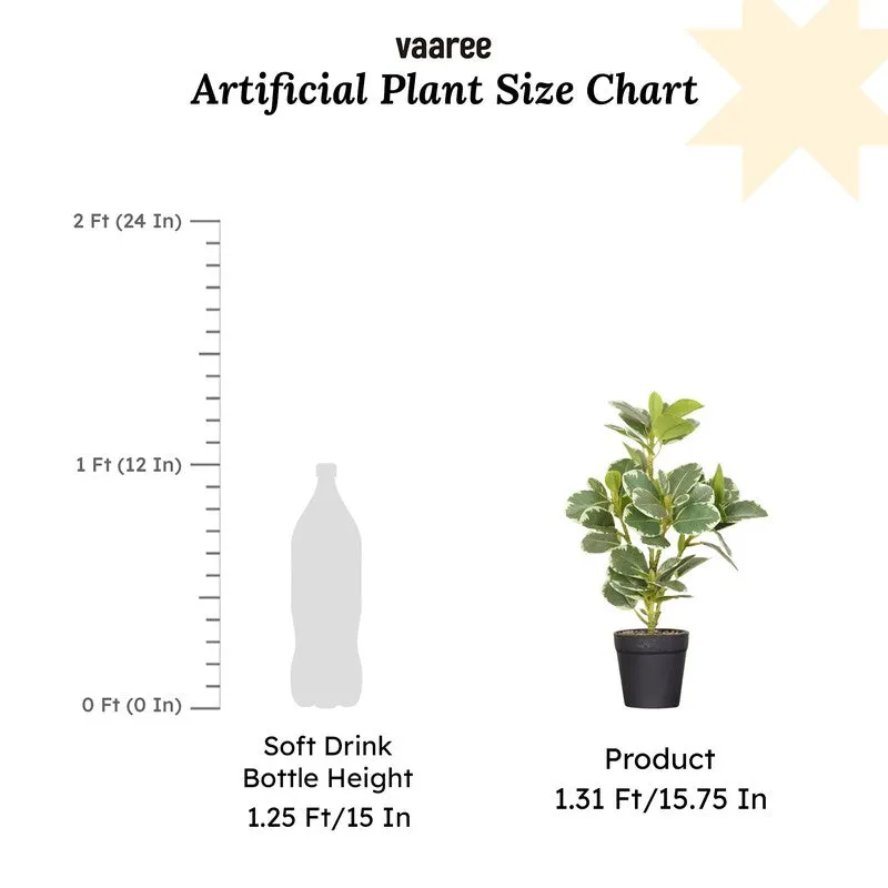 Artificial White Quercus Leaf Big Plant With Black Fiber Pot - 1.3 Feet media 7