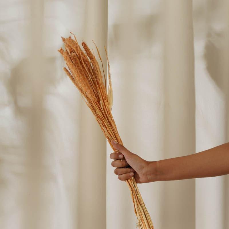 (Orange) Dried Millet Grass (2.3 ft) - Set Of Twenty Stems media 3