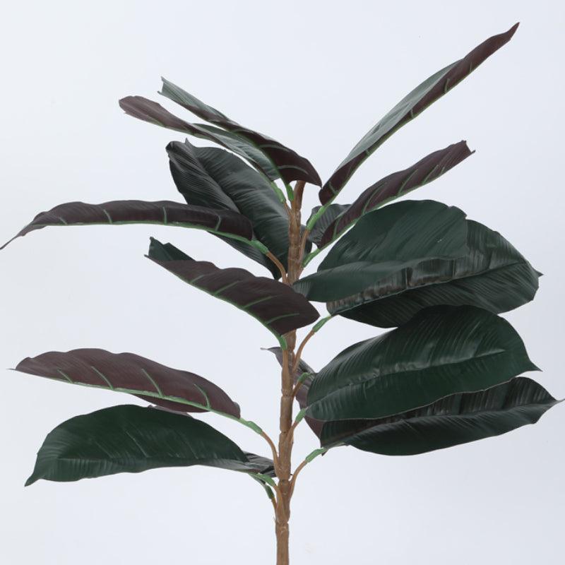 Faux Red Rubber Plant With Black Plastic Pot - 2.46 ft media 5