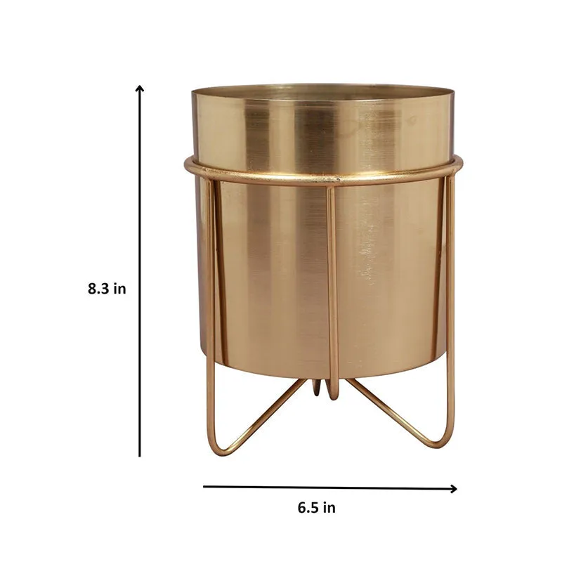 Metal Root Iron Planter media 6