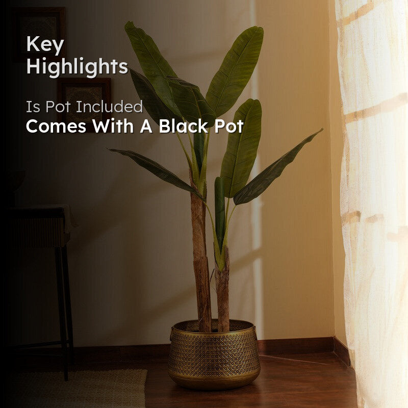 Artificial Banana Plant With Black Plastic Pot - 5 ft media 2