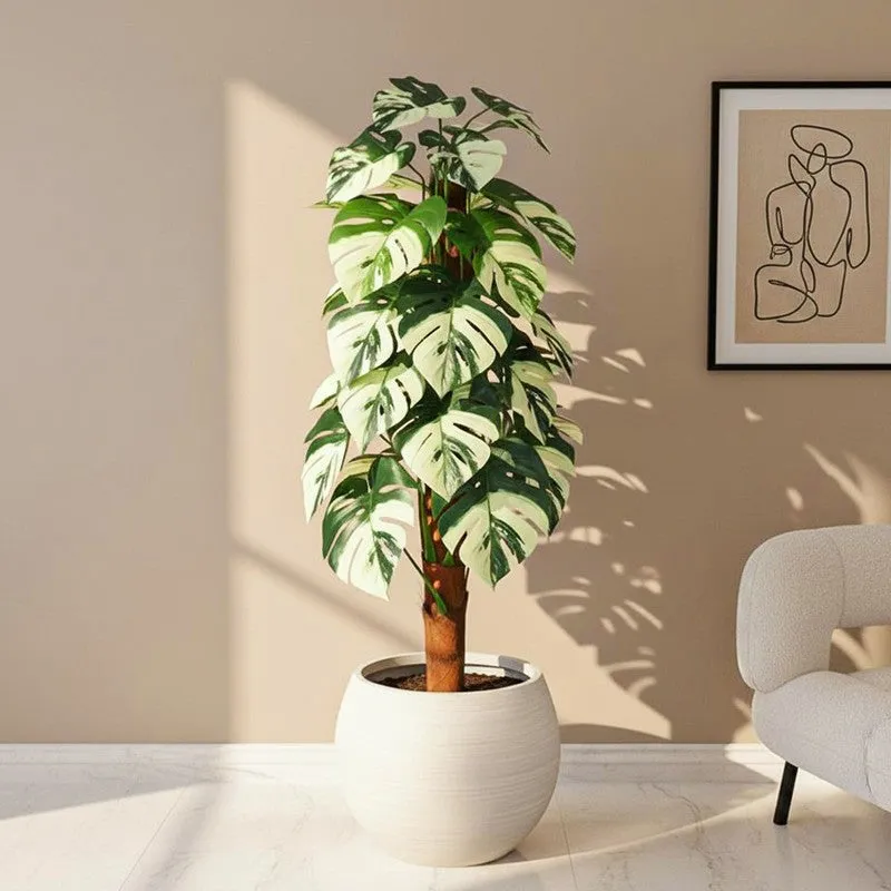 Monever Artificial Monstera With Black Plastic Pot (White) - 4 Feet media 1