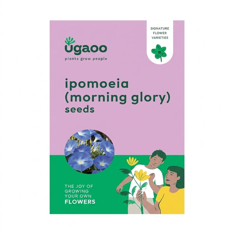 Ugaoo Ipomoea Seeds media 5