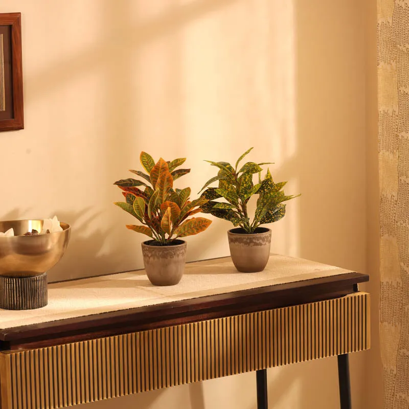 Artificial Croton Plant With Black Plastic Pot (Set Of Two) - 1 Feet media 1